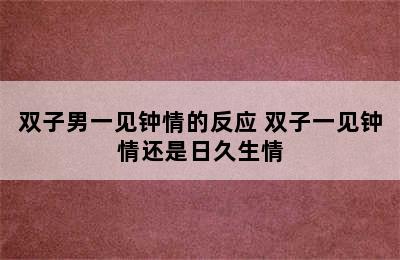 双子男一见钟情的反应 双子一见钟情还是日久生情